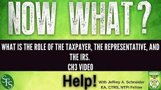 What is the Role of the Taxpayer, The Representative, and the IRS