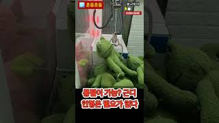 [뽑기]통털이 해 뿌까?🐍왕구렁이🐍kingsnake.CLAW Machine