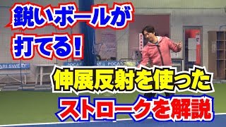 「鋭いボールが打てる！【伸展反射】を使ったストローク」Tennis Rise テニス・レッスン動画