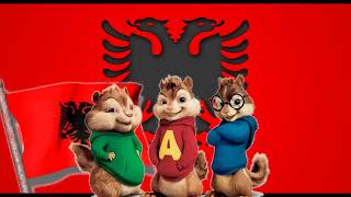 Xhamadani vija-vija (chipmunks)