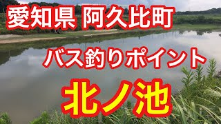 北ノ池 愛知県 阿久比町 バス釣りポイント ブラックバス