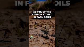 Current Agricultural Practices Kill Soil and Release CO2