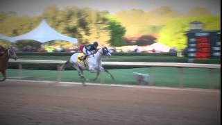 The Arkansas Derby: Road to the Triple Crown
