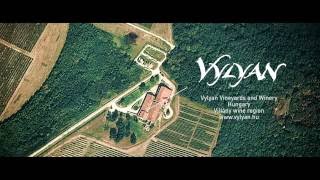 Vylyan Vineyards and Winery - Summary