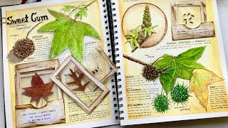 How to Add Mixed Media to your Nature Journal/Specimen Cards