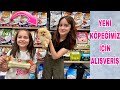 ZEYNEP HİRANUR YENİ KÖPEĞİMİZ İÇİN ALIŞVERİŞ YAPTIK NELER ALDIK !? ( pomeranian )