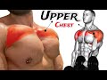 Target Your Upper Chest | Pro Tips and Techniques for Optimal Results