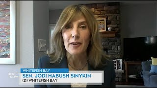 Sen. Jodi Habush Sinykin on a bill to regulate data centers | Here & Now