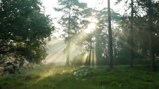 Every Moment I Judah Earl #music #cinematic #rest