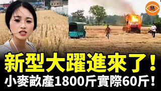要變天了！小麥畝產1800斤實際60斤！饑荒大亂鬥開始，收割機競爭訂單陰招百出