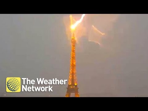 How many times a year is the Eiffel Tower struck by lightning?