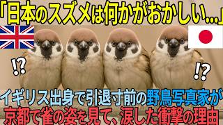 「日本のスズメは何かおかしい...」イギリス人写真家が京都の雀を見て絶句した理由【海外の反応】