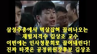 주총에서 멱살잡혀 끌려나오는 재벌저격수 김상조 공정위원장 후보