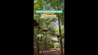 Family-Friendly Road Trip to Williamsburg