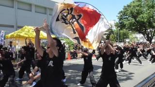 中京大学「晴地舞」さん　逢　パレード初披露　ケヤキ会場　豊川おいでん祭2017.5.27