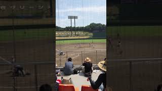 【聖光学院】県大会優勝の瞬間にキャッチャーが...【高校野球】#Shorts