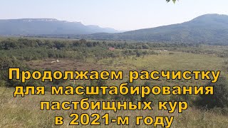 Продолжаем расчистку для масштабирования кур несушек в 2021-м году!