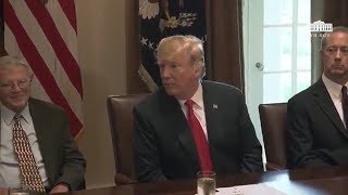 President Trump Meets with Members of Congress