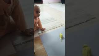 എനിക്ക് പുതിയ ഫ്രണ്ടിനെ കിട്ടി 💫#baby #funny.... #short