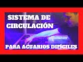 Ingenioso Sistema de Circulación para acuarios 🐠🔄