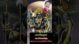 ശനിയുടെ കാരകത്വം വരാഹ ഹോരയിൽ നിന്നും #astrology