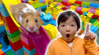 ハムスターにレゴで迷路作ってみた🐹モニタリング DIY Hamster MAZE Lego Obstacle Course Escape the Castle!