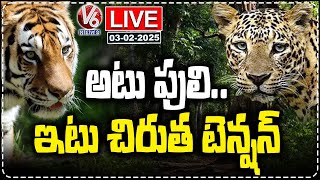 Live : Tiger, Cheetah Spotted in Karimnagar, Nizamabad, Adilabad; Locals on High Alert | V6 News