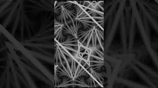 (¿R?) evolving || MaxMsp Jitter generative visuals