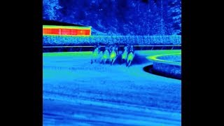 Testing the Fluke TIX1000 Infrared Camera at the Horse Races