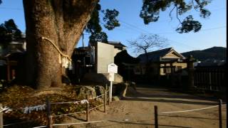 尾道　艮神社