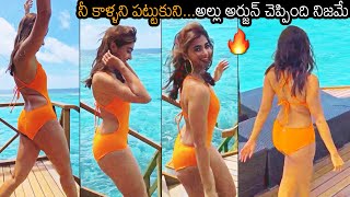 పిచ్చెక్కిస్తున్న పూజ 🔥: Actress Pooja Hegde SUPERB H0T Looks In Swimsuit At Maldives | News Buzz
