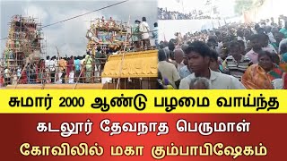 கடலூர் தேவநாத பெருமாள் கோவிலில் மகா கும்பாபிஷேகம்