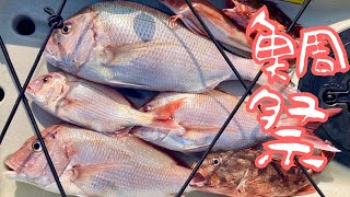 秋の鯛祭り！ジギングkayakfishing 【カヤックフィッシング】