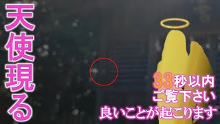 ⚠️神様、龍神様、天使が現れる奇跡の映像。お姿が見えたら次々と良い事が起こり始めます。もし逃したら二度とありません｜光岡八幡宮遠隔参拝310