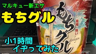 【釣り】新エサ『もちグル』ちょっと来い【へらぶな釣り】