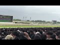 第167回天皇賞（春）　京都競馬場現地ゴール前にて　2023年4月30日【ジャスティンパレス】