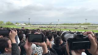 第167回天皇賞（春）　京都競馬場現地ゴール前にて　2023年4月30日【ジャスティンパレス】