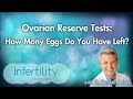 Ovarian Reserve Tests: How Many Eggs Do You Have Left?