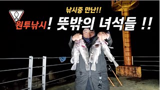 원투낚시 중 만난 뜻밖의 녀석들  동해도 우럭 많이 있구나 !Korean Surf Fishing