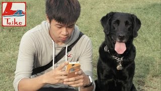 台客劇場》低頭導盲犬短片 Deetoes guide dog by Taiwan Minute