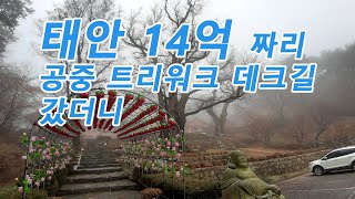 태안 14억짜리 공중트리워크 데크길 솔숲산책길을 가보았더니~ 태안여행명소 가볼만한곳 추천