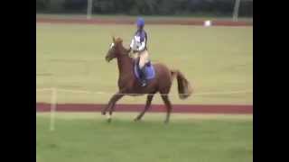 Roxy - Midsouth Prelim 3-day 2014