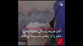 ویدیو: ۷۰ زن در یک نانوایی بزرگ در کندهار سر گرم کار هستند .