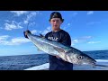 slow trolling for monster kingfish nc