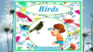 【停課不停學】英語故事 Story-telling for kids: Birds