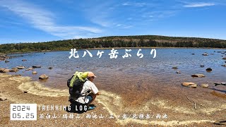 【北八ヶ岳】登山 麦草峠から北横岳周辺をぶらりぶらりハイク｜茶臼山/縞枯山/雨池山/三ッ岳/北横岳｜2024年05月25日 ｜japanese alps hiking 4k 【TrekkingLOG】