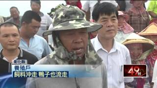 「要餓死了」養殖戶嗆河川局　害死黃金蜆 20150829