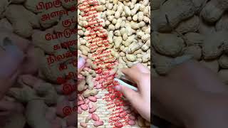 வேர்க்கடலை  பற்றிய வேடிக்கையான உண்மைகள்#trending #agriculture #peanut #farmer