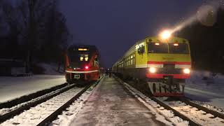 Дизель-поезд ДР1АМ-254 на ст. Арайши / DR1AM-254 DMU at Araiši station