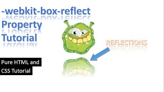 CSS Box-reflect Tutorial | CSS -webkit-box-reflect Property Tutorial | Pure CSS Reflection Effect.